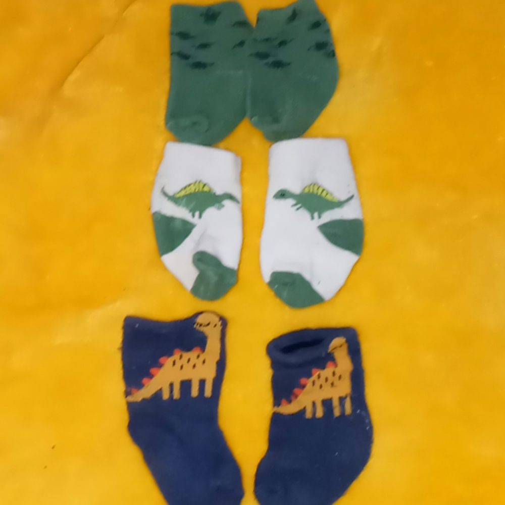 Dino socks